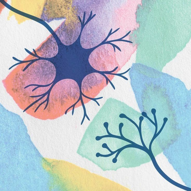 DIE VERBORGENE VERBINDUNG ZWISCHEN STRESS & ERHOLUNG